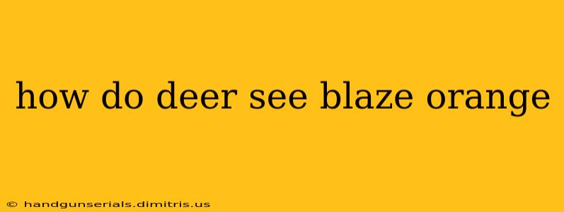 how do deer see blaze orange