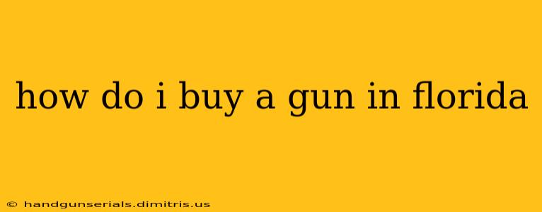 how do i buy a gun in florida