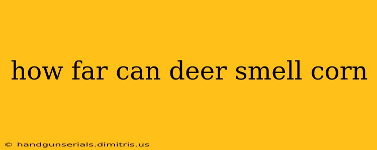 how far can deer smell corn