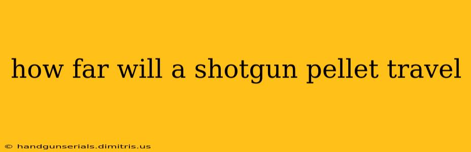 how far will a shotgun pellet travel