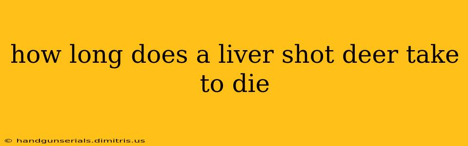 how long does a liver shot deer take to die