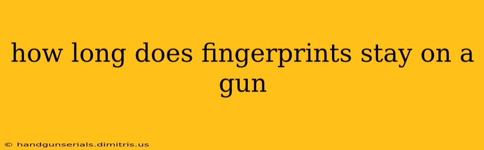 how long does fingerprints stay on a gun