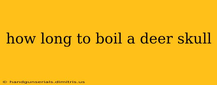 how long to boil a deer skull