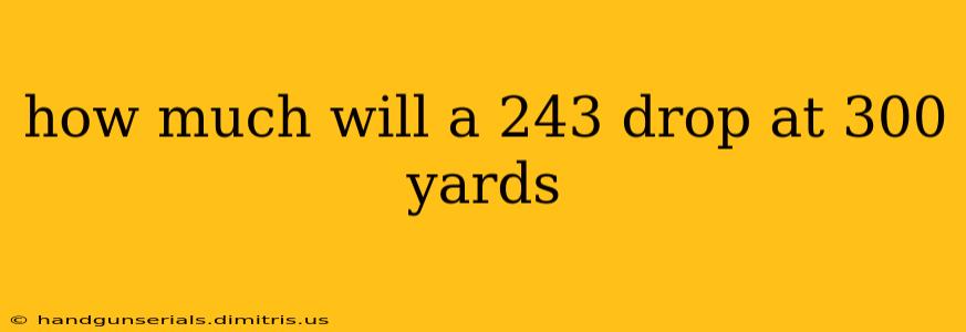 how much will a 243 drop at 300 yards