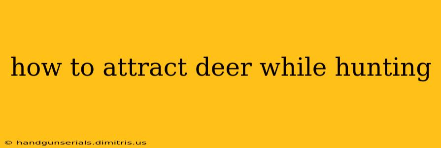 how to attract deer while hunting