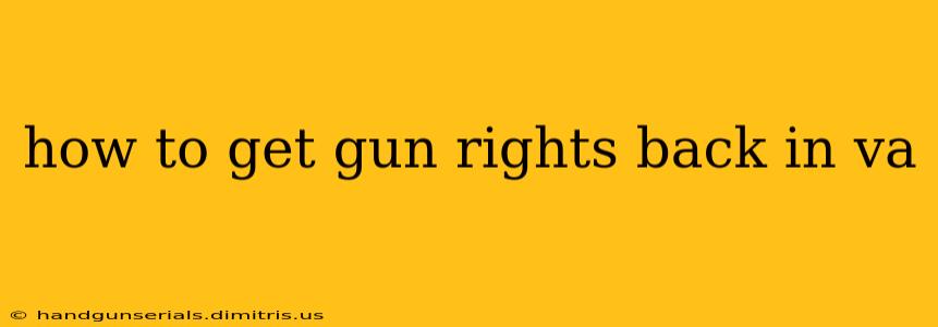 how to get gun rights back in va