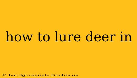 how to lure deer in