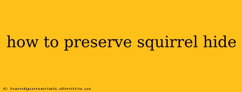 how to preserve squirrel hide