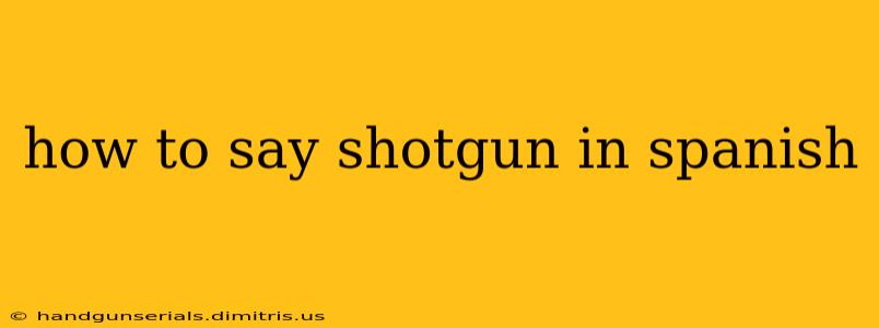 how to say shotgun in spanish