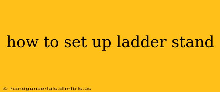 how to set up ladder stand