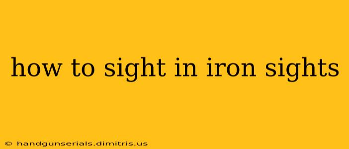 how to sight in iron sights