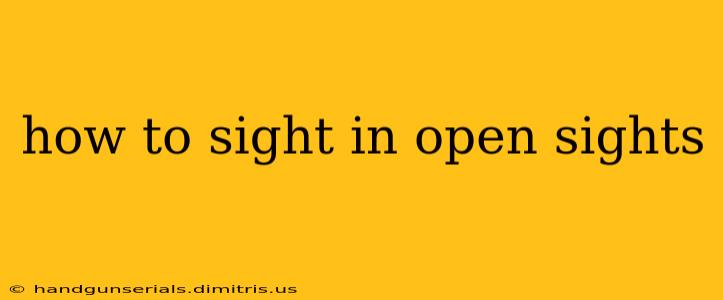 how to sight in open sights