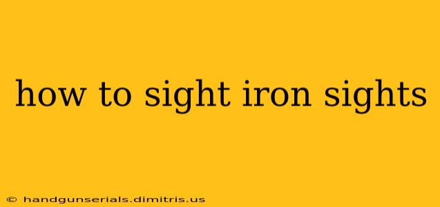 how to sight iron sights