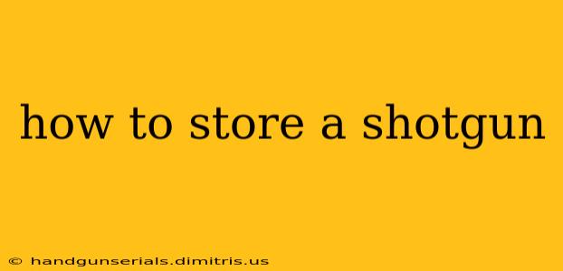 how to store a shotgun