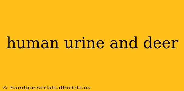 human urine and deer