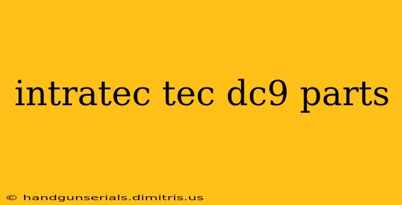 intratec tec dc9 parts