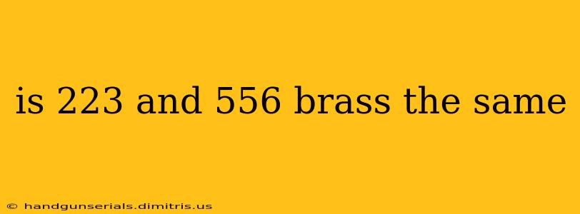 is 223 and 556 brass the same