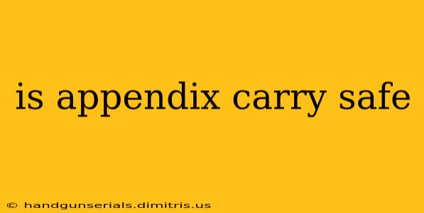 is appendix carry safe