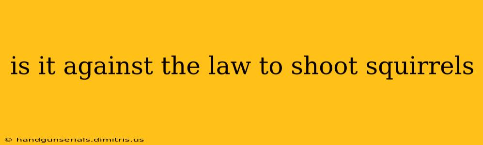 is it against the law to shoot squirrels