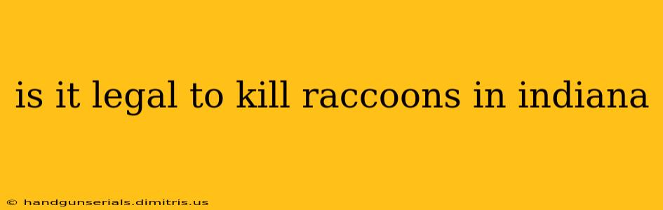 is it legal to kill raccoons in indiana