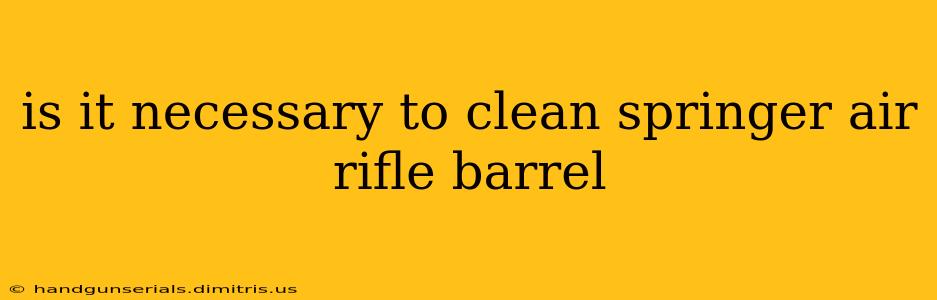 is it necessary to clean springer air rifle barrel