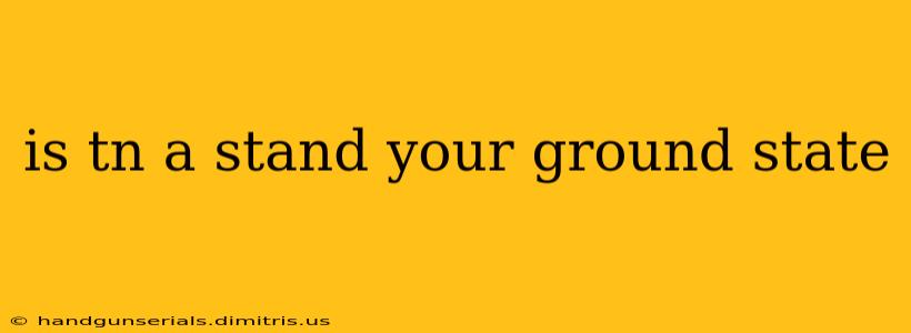 is tn a stand your ground state