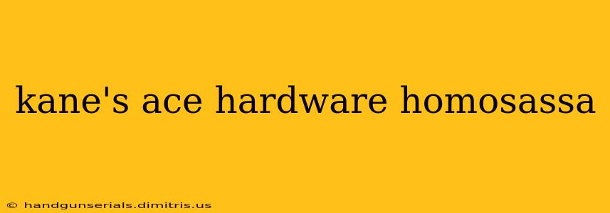 kane's ace hardware homosassa