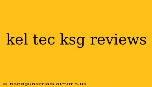 kel tec ksg reviews