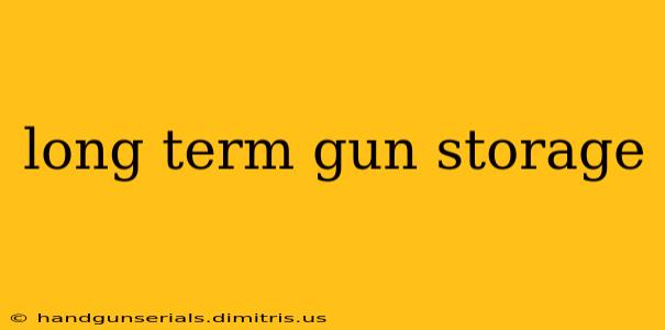 long term gun storage