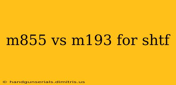 m855 vs m193 for shtf