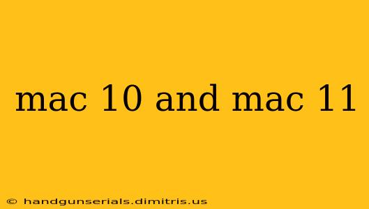 mac 10 and mac 11