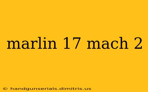 marlin 17 mach 2