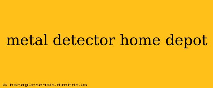 metal detector home depot