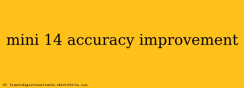 mini 14 accuracy improvement