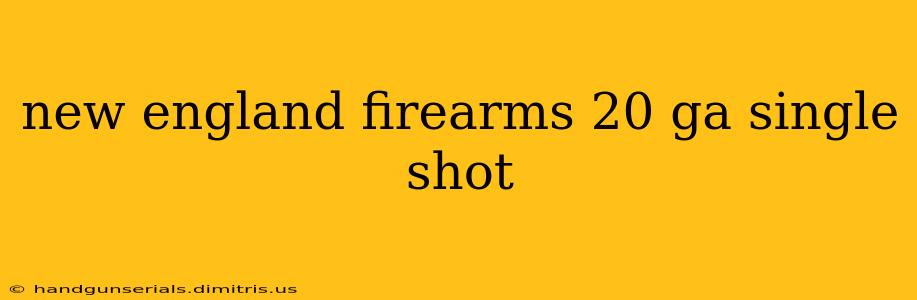 new england firearms 20 ga single shot