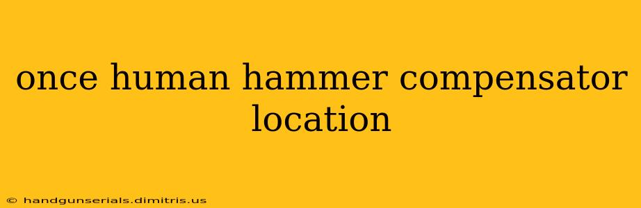 once human hammer compensator location