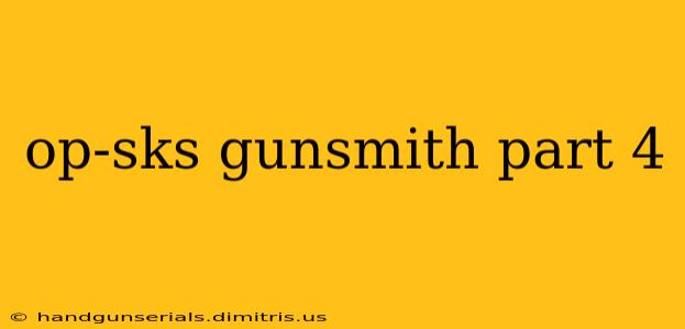 op-sks gunsmith part 4