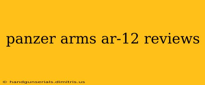 panzer arms ar-12 reviews