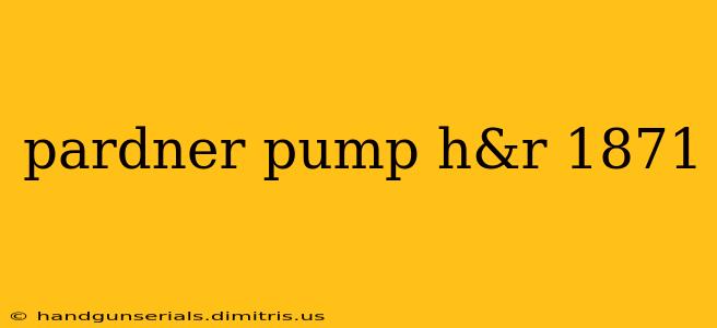 pardner pump h&r 1871