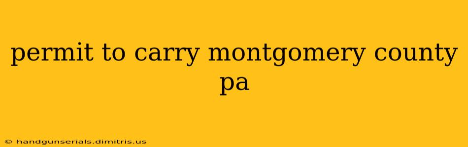 permit to carry montgomery county pa