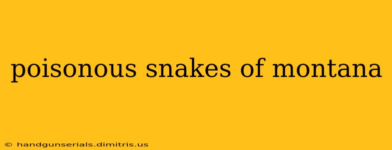 poisonous snakes of montana