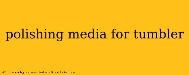 polishing media for tumbler