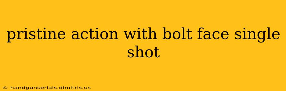 pristine action with bolt face single shot