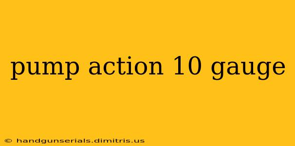 pump action 10 gauge