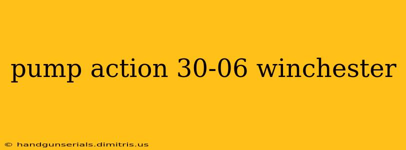 pump action 30-06 winchester