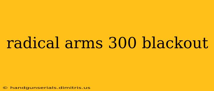 radical arms 300 blackout