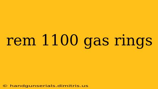 rem 1100 gas rings