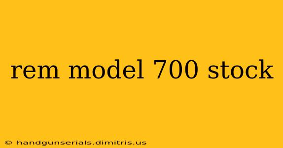 rem model 700 stock