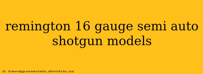 remington 16 gauge semi auto shotgun models