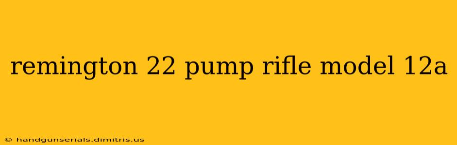 remington 22 pump rifle model 12a